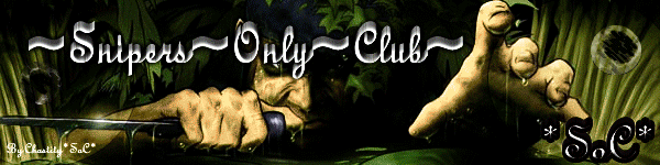 banner.gif